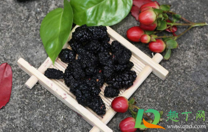 鲜桑葚不洗可以泡酒吗3