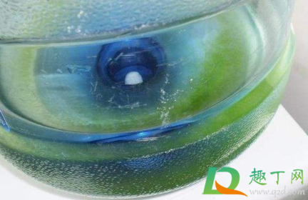 水桶里面的绿色的怎么处理1