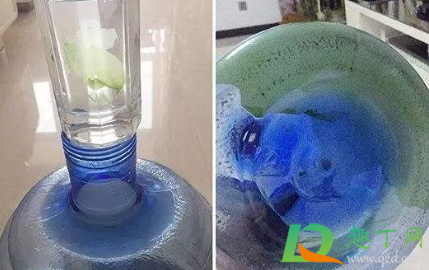 水桶里面的绿色的怎么处理3
