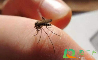 毒蚊子咬了酒精可以消肿止痒吗3