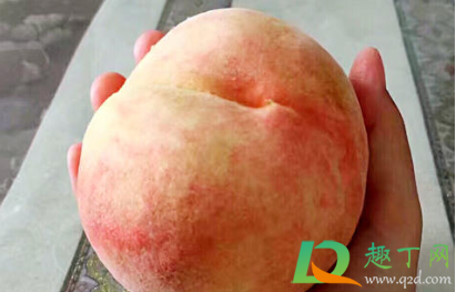 桃子怎么放才甜2