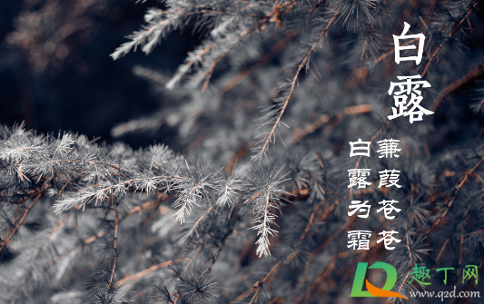 2020年白露冷吗到什么时候3