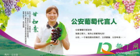 甘如意有男朋友吗2