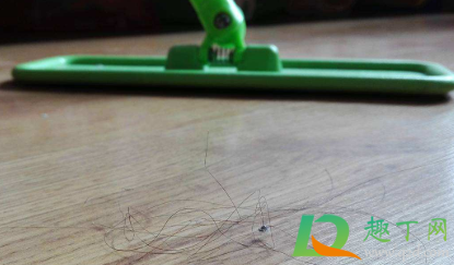 怎么收拾地板上的头发1