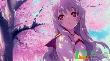 樱花动漫怎么看不了了1