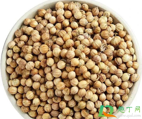香菜种子冰箱催芽要冷藏多少天3