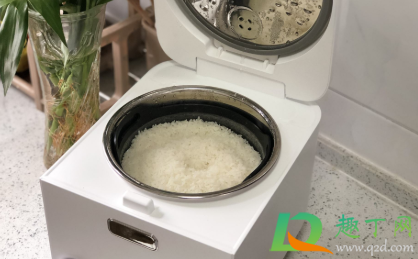 怎么做出松散的米饭3