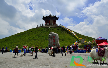 旅游去高原地区后多久能洗头1