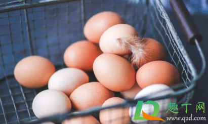 生鸡蛋泡狗粮可以给幼犬吃吗4