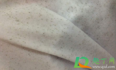 衣服上的霉斑怎么洗掉小窍门1