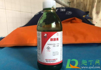 敌敌畏灭蟑螂用兑水吗2
