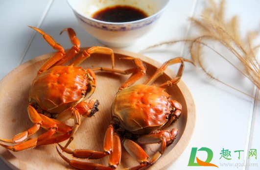 螃蟹只有触角动还是活的吗1
