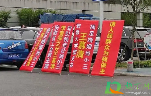 安徽大学王慕清怎么了2