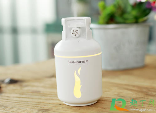 加湿器长绿苔能用吗3