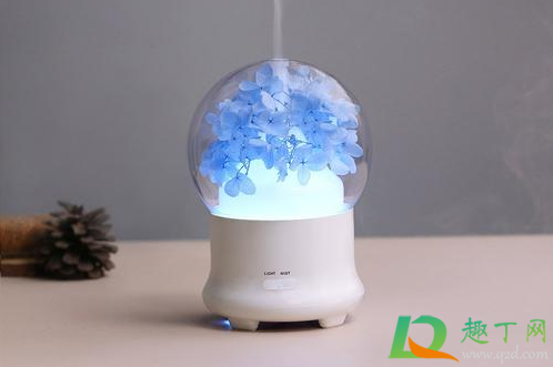 加湿器长绿苔能用吗1