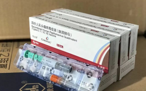 二价打国产好还是进口好2