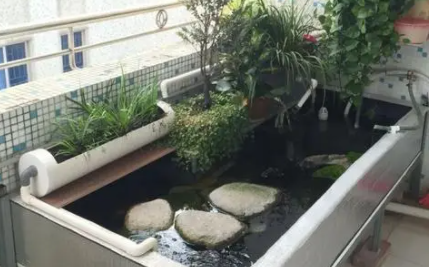 鱼缸放阳台上好不好3