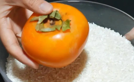 柿子怎么催熟3