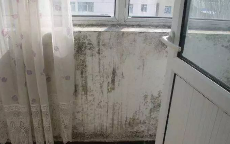 发霉的房间住一天对身体好吗1