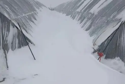 东北暴雪会对火车有影响吗1