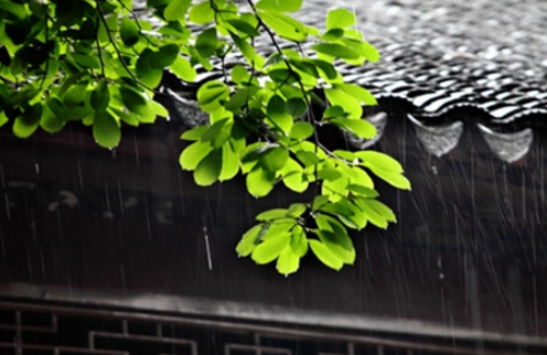 2022年苏州有梅雨季节吗3