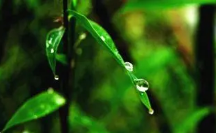 2022年苏州有梅雨季节吗1