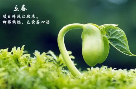 什么样的孩子需要躲春躲年1