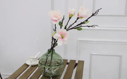 花瓶里的花怎么养1