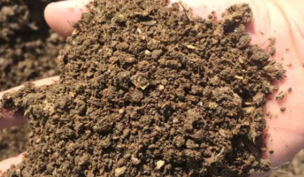 买的羊粪可以直接铺在花面上吗3