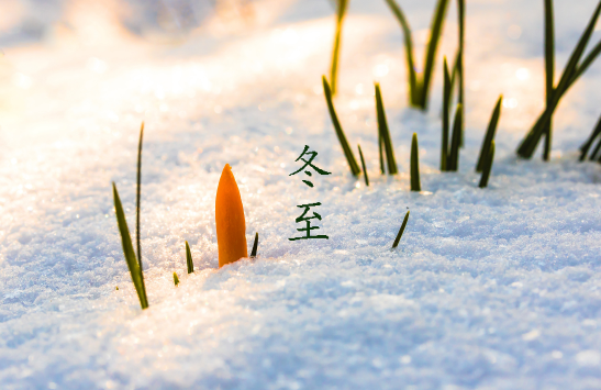 2021冬至可以摆酒吗1