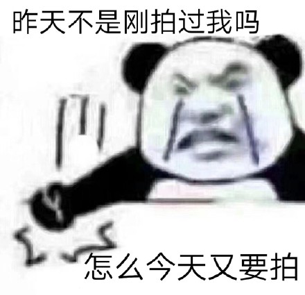 微信拍一拍表情包带字无水印1