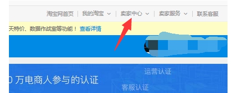 淘宝类目占比在哪里看？查看的技巧是哪些