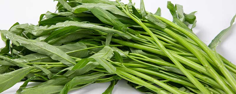 青菜的挑选技巧 青菜怎么挑选