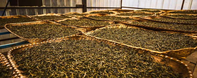 普洱茶产地 正宗的普洱茶是哪里产的