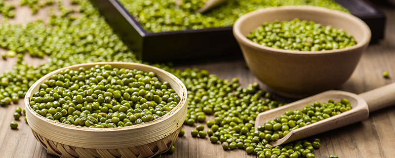 为什么绿豆磨不出豆浆 绿豆磨不出豆浆的原因