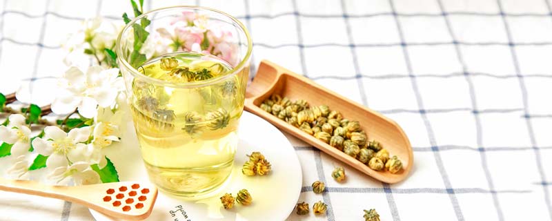 夏季适合喝什么花茶 夏季适合喝哪些花茶