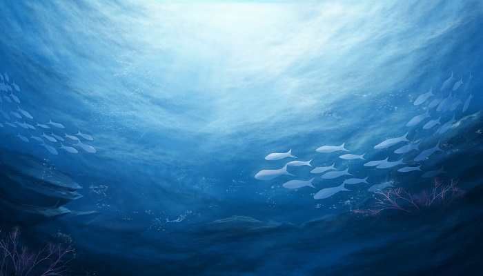 海洋鱼 (3).jpg