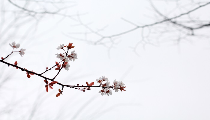 摄图网_500841381_烟雨江南（企业商用）.jpg