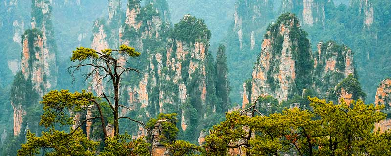 张家界地貌类型多样其中最具特色的是什么地貌 张家界地貌属于什么地貌类型