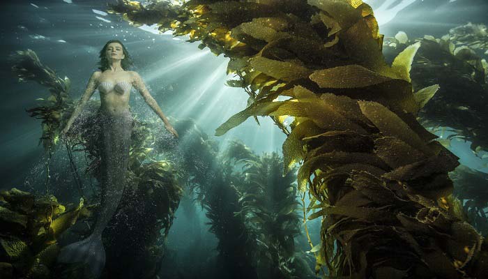 世界上真有美人鱼吗 世界上真的有美人鱼吗 