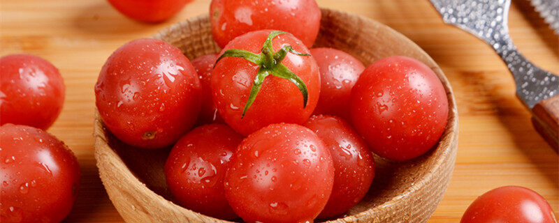 盆栽小番茄的种植方法 盆栽小番茄如何种植