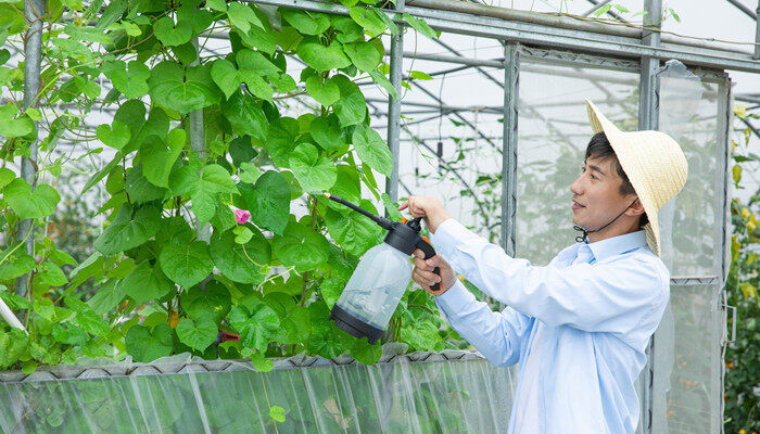 异丙甲草胺除草剂使用范围 异丙甲草胺除草剂使用范围是