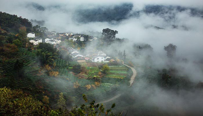 乡村振兴背景 乡村振兴下农村的现状和未来