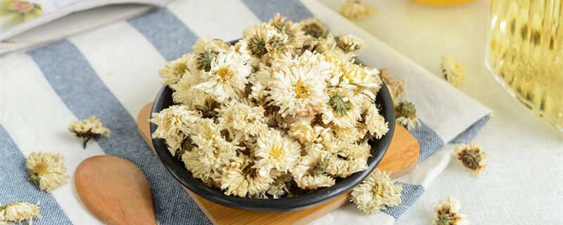 野生菊花可以泡水喝吗 野生菊花能用来泡茶吗