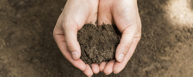 种菜前怎么对土壤杀虫 种菜前对土壤杀虫的方法