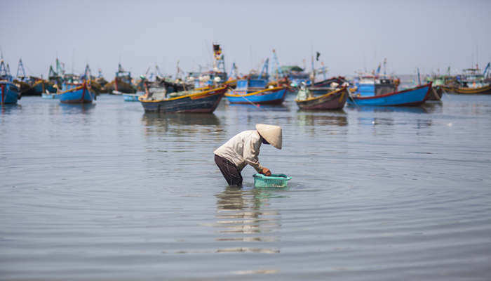 中国主动宣布公海休渔的意义 公海有禁渔期吗