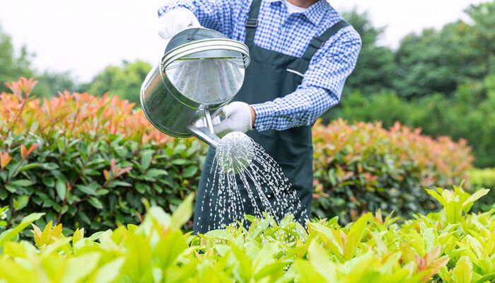 自来水浇花水碱性大怎么办