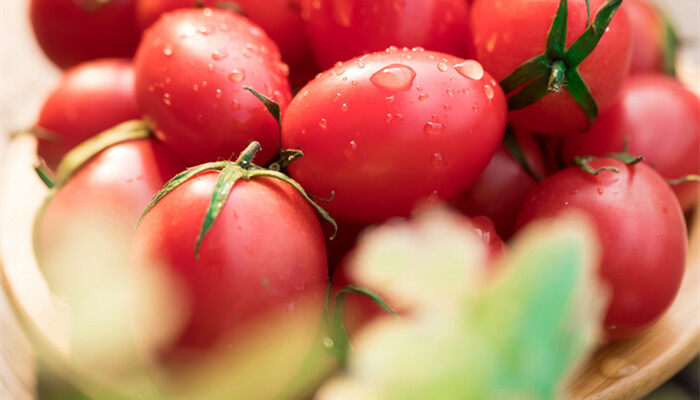 盆栽小番茄的种植方法 盆栽小番茄如何种植