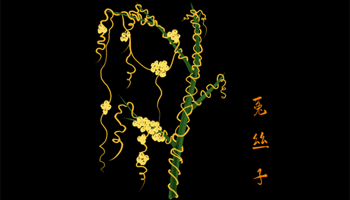 菟丝子和豆科植物是什么关系 菟丝子和豆科植物的关系是什么