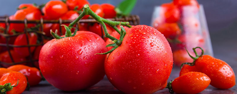 番茄怎么施肥